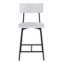 Badin - Counter Stool - White Washed
