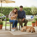 All Weather Patio Dining Chairs (Set of 2)