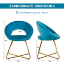 Modern Accent Velvet Lounge Chair