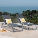 Myers - Modern Chaise Lounge Set With Adjustable Mesh Back
