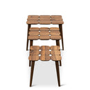 Hilson - Nesting Table - Walnut