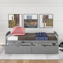 Platform Bed With 2 Drawers