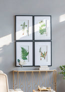 Botanical And Fern Wall Art, Wall Decor For Living Room Dining Room Entryway (Set of 4) - White / Black