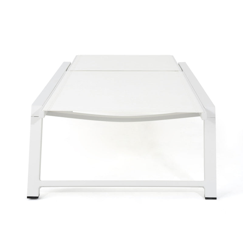 Myers - Modern Chaise Lounge Set With Adjustable Mesh Back