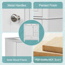 Freestanding Bathroom Vanity With Sink, Soft Close Door, 3 Drawers