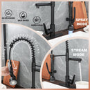 Kitchen Sink Faucet With LED Pull Down Sprayer, Single Handle High Arc Faucet, Dual Spouts, Deck Mount - Matte Black