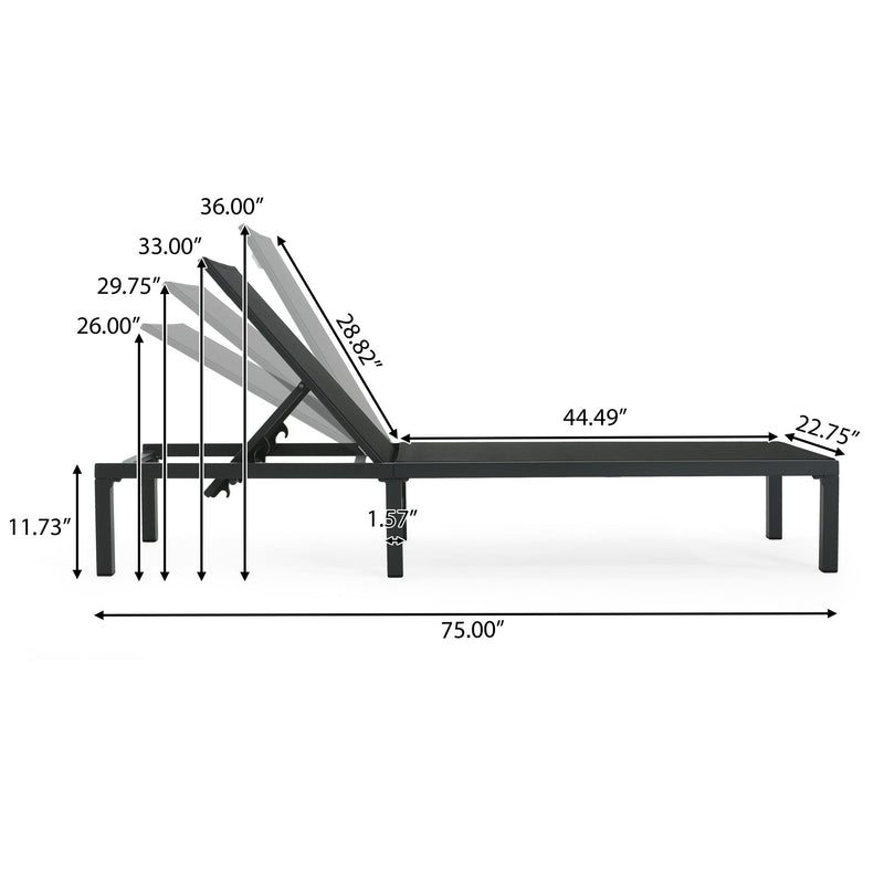 Westport - Outdoor Chaise Lounge (Set of 2) - Black