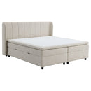 Adonia - Queen Bed With Storage - Beige