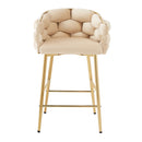 Modern Counter Stools (Set of 2)