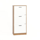 Modern Freestanding Shoe Storage Cabinet With 3 Flip Drawers