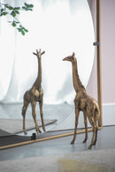 Poppy Mirror With Metal Frame Contemporary Design For Bathroom, Entryway Wall Decor