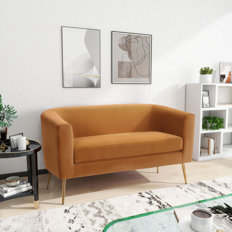 Modern Elegant Design Style Loveseat