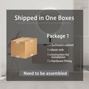 Contemporary Wall Mounted Bathroom Vanity With Resin Double Sink