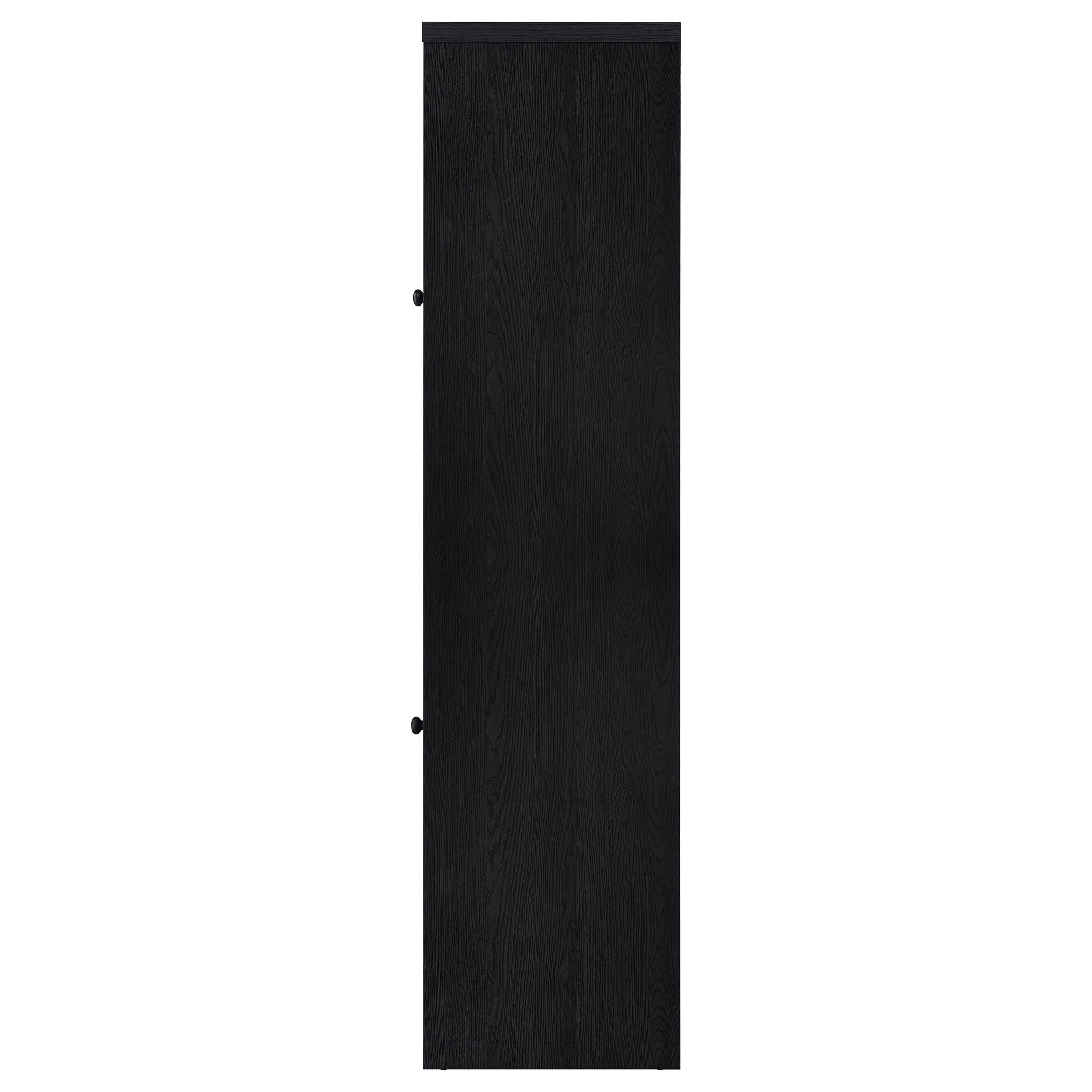 Denison 67-inch 2-door Media Tower Storage Cabinet Black