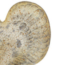 Resin Turkey With Pumpkin Rustic, For Harvest Festival Fall Festival & Thanksgiving Table Decorations (Set of 2) - Gray