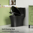 1 Piece Toilet With Dual Flush And Soft Closing Seat