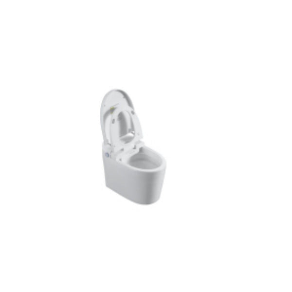 Tankless Smart Toilet With Bidet Built In, 1 Piece, Auto Flush, Auto Open / Close, Heated Seat, Bubble Wash, Warm Water And Dry, Adjustable Temp, Remote Control Side Know - White