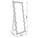 Brixey - LED Lighting Standing Floor Mirror - Black