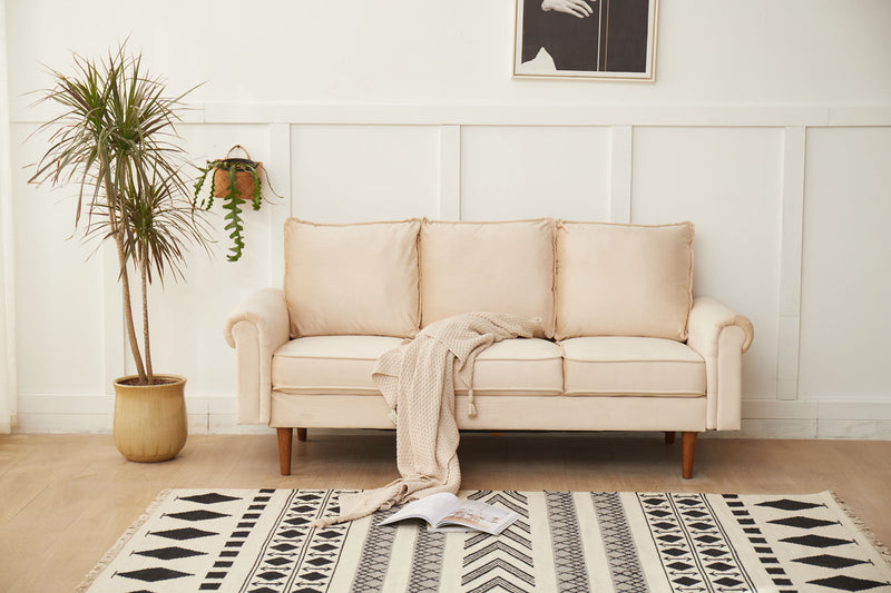 Graceful Design Plush Comfort Sofa