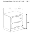 Modern Luxury Nightstand With 2 Drawer Storage