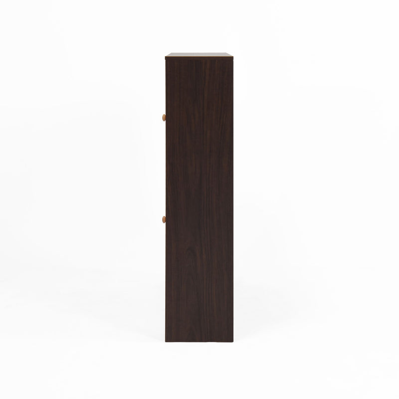 Modern Freestanding Shoe Storage Cabinet With 4 Flip Drawers