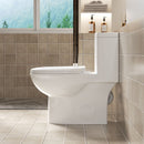 1 Piece Toilet With Tornado Flush, Soft Closing Seat