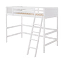 Loft Bed With Ladder