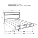 Miranda - Storage Wood Panel Bed