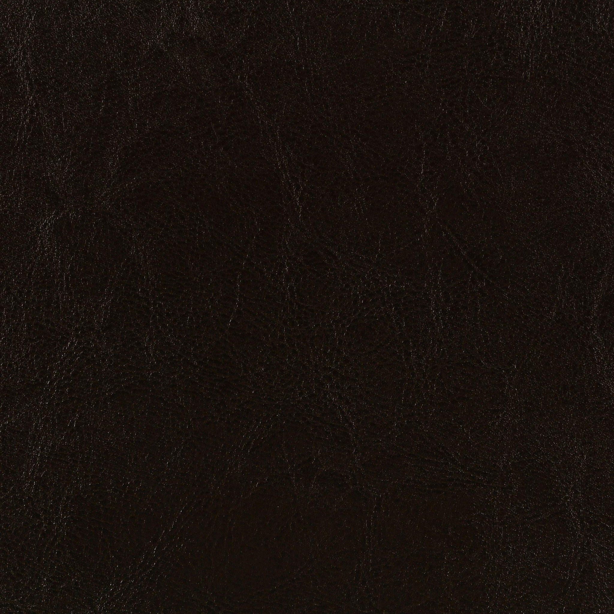 Dorian Faux Leather Upholstered Twin Panel Bed Brown