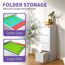 Steel Drawer Vertical File Cabinet With Lock For A4 Legal / Letter Size