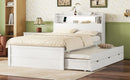 LED Platform Bed With Trundle With Storage Headboard With Drawers