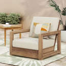 Outdoor Club Chair With Back And Seat Cushion - Brown