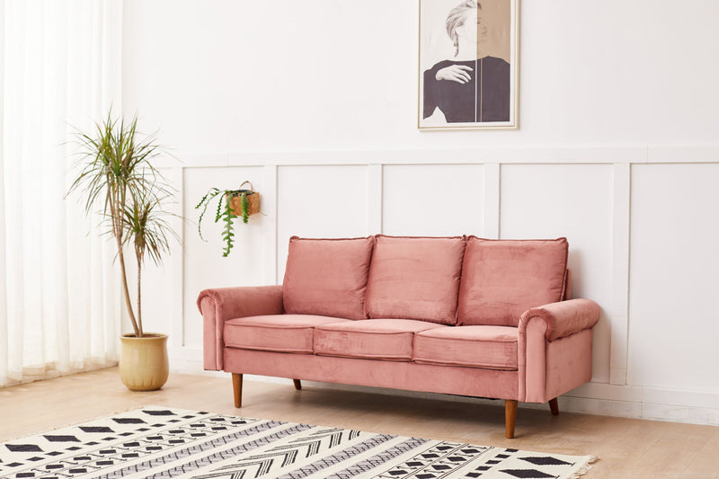 Graceful Design Plush Comfort Sofa