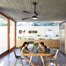 Indoor Outdoor Ceiling Fan With Light With Remote Control, Noiseless Reversible Motor, 6 Speed, 3 Color