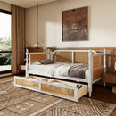 Traditional Style Rattan Daybed, No Box Spring Needed