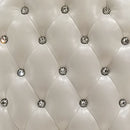 Dresden - Arm Chair (Set of 2) - Synthetic Leather & Bone White