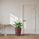 3 Pieces Flowerpot, Planter For Patio, Garden Or Windowsills