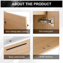 Bathroom Vanity Set With Resin Countertop Sink, 2 Doors