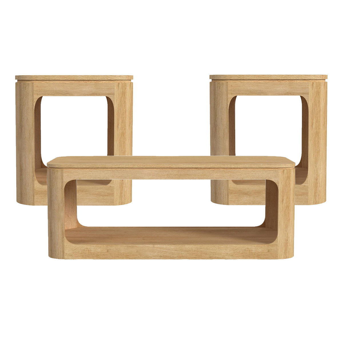 Rogen Rustic Occasional Table Set in Black by Elements International, view 6