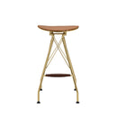 Dragea - Bar Stool (Set of 2) - Whiskey Synthetic Leather & Gold