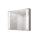 LED Medicine Cabinet With Mirror, Double Door With Defogger, Dimmer, Surface Mount