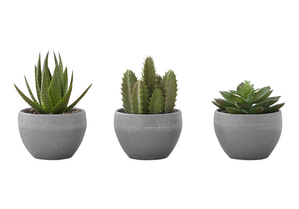 Artificial Plant, 6" Tall, Succulent, Indoor, Faux, Fake, Table, Greenery, Potted, Decorative (Set of 3) - Green / Gray