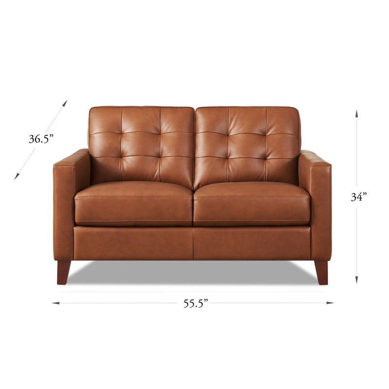 Aiden - Leather Loveseat