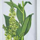 Botanical Flower Wall Art, Home Decor For Living Room Dining Room, Bedroom, Hallway (Set of 4) - White / Blue