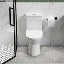 1 Piece Toilet With Dual Flush & Rimless Bowl - Glossy White