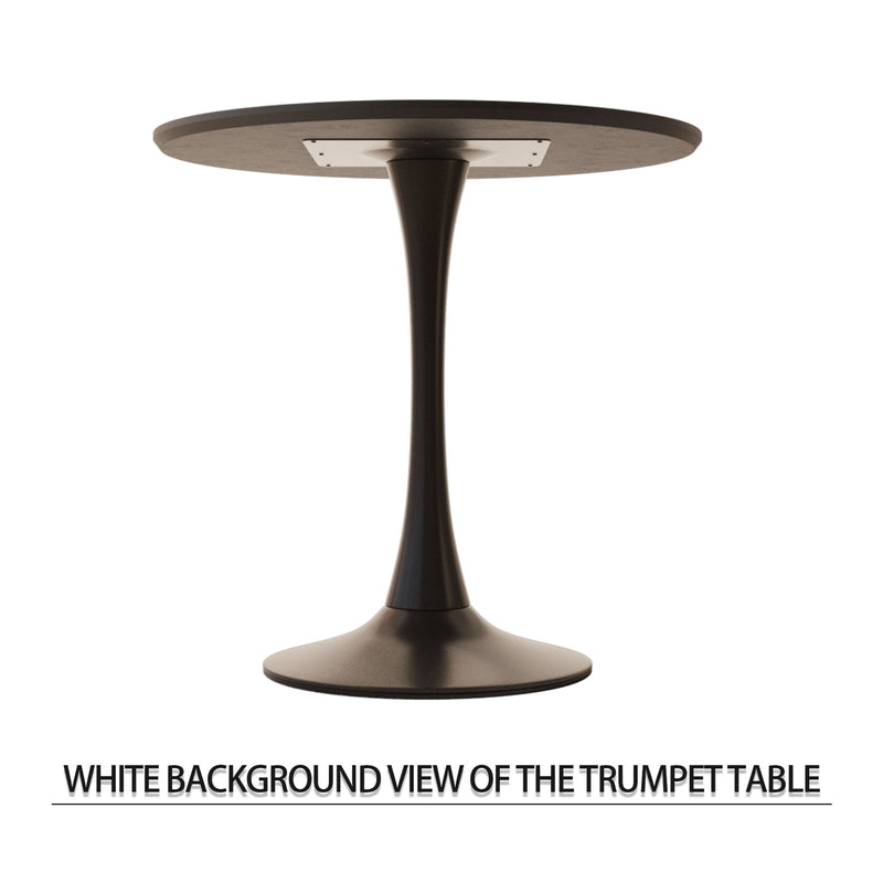 Round Dining Table Set With Tulip Design And 2 Chairs
