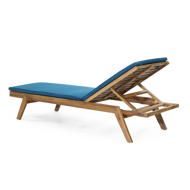 Nebulon - Outdoor Adjustable Chaise Lounge With Water Resistant Cushions (Set of 2)