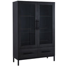 Modern Style Tall Display Cabinet With LED Lighting, Tempered Glass Door, 2 Drawers