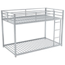 Metal Bunk Bed, Low Bunk Bed With Ladder