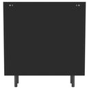 Dalia - 2 Door Accent Storage Cabinet With Shelving - Black